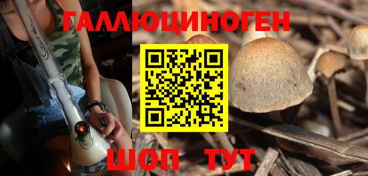 Галлюциногенные грибы Magic Shrooms  Вход с VPN  Вязьма 