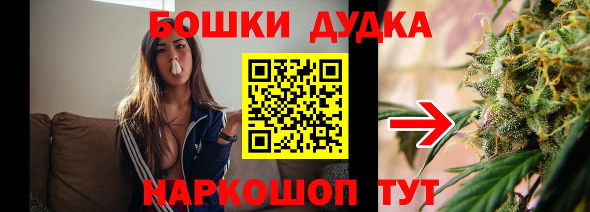 Бошки Шишки план Вязьма